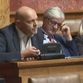 Nemački parlamentarac napustio Skupštinu zbog Nestorovićevog poslanika
