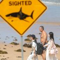 Četiri napada ajkula na ljude u Australiji za 48 sati