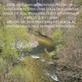 Državno prvenstvo Srbije u mušičarenju na Đetinji 6. i 7. juna