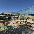 Otvoren LORIST u Novom Sadu: Više od 120 izlagača, dinosaurusi, Dani Afrike i porodični dan (FOTO)