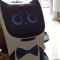 Roboti u Sloveniji pomažu konobarima iz Srbije i BiH, i dalje nedostaju radnici u turizmu