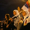 Privatno obezbeđenje iz Kraljeva nasilno izbacilo studente u Novom Pazaru