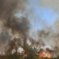 Otac četvoro dece poginuo u Kučima: Vojnik Dejan krenuo da pomogne u gašenju požara, tragično stradao
