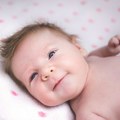 U Novom Sadu za jedan dan rođeno 17 beba