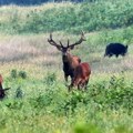 U srpskom "selu na sedam voda" smeštaj košta 15 evra: Meštani razvili ruralni turizam, sve više dolaze stranci