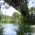 Velika i Južna Morava odnele živote troje dece u jednom danu, utopila se dva dečaka i devojčica