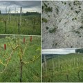 Oluja skinula krov s mrtvačnice! Vinogradari u očaju kad su videli šta ih je dočekalo! "Noćas nam je srce ostalo tamo"…