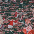 Zvezda ponosna na neverovatnu stvar: Nijedan drugi klub u Srbiji ne može ovo da kaže za sebe