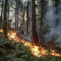 Požar u Turskoj: Vatra buknula u šumi, pojedini avioni nisu mogli da polete zbog visoke temperature