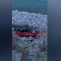 Teška nesreća u Albaniji, poginulo osmoro: Vozač izgubio kontrolu, sleteo sa puta u reku Vjosa (video)
