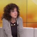 Džamonja Ignjatović: Kako uspostaviti dijalog o litijumu ako se druga strana obezvređuje