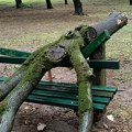 Crni oblaci, obilna kiša i vetar: Promena vremena u BiH