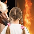 Devojčica (12) iz Vršca nije htela da napusti konja dok je vatra gutala štalu: Oko njih gori, a ona drži uzde