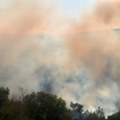 Na Žaračkoj planini i dalje gori više od 80 hektara borove šume, u Deliblatskoj peščari bolja situacija