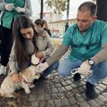 Mlekarska škola obeležava 81 godinu rada: Veterinarsko savetovalište na Keju spojilo znanje i humanost