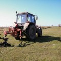 U severnom Banatu najtraženije sadnice kajsije, dunje, višnje i trešnje