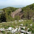 Hrvatska siječe, a BiH posmatra: Čija je šuma na granici iznad Bihaća