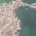 Zastrašujuća pojava na plaži zgrozila turiste u vodi se pojavila masna i smrdljiva sluz - evo šta bi mogao biti uzrok! (video)…
