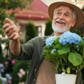 Snimak iz Srbije koji topi i najtvrđa srca: Dekica pokucao na vrata sa cvećem, a reakcija njegove žene je dokaz da prava…