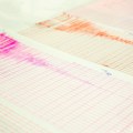 Jak zemljotres pogodio Evropu: Zatreslo se jako