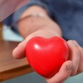 Crveni krst poziva građane: U avgustu više akcija dobrovoljnog davanja krvi u Sremskoj Mitrovici