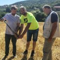 Stručnjaci analiziraju hranu i zemljište šumadijskih stočara