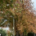 Danas je poslednji dan leta, sutra počinje jesen