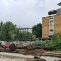 Narodna Kragujevac: Za seču stabala na Trgu Radomira Putnika kriv projektant