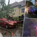 Haos U somboru, žena poginula nakon pada drveta: Nevreme opustošilo grad, oglasio se Dačić! (foto/video)