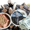 Cene uglja, peleta i drveta pred novu grejnu sezonu: Koji energenti su najisplativiji ove zime?