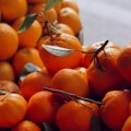 Tko će brati mandarine u dolini Neretve?