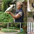 (Foto) bračni par od deponije napravio raj za životinje Mini zoo-vrt „Koki“ u Inđiji je oaza za najmlađe i dom za 60 vrsta…