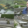Od zaborava do uspeha: Porodica Dragolovčanin spasla legendarni ribnjak Raškom sad pliva više od 2,5 miliona jedinki pastrmke…