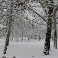 Upozorenje RHMZ na snežne padavine i olujni vetar u istočnoj Srbiji