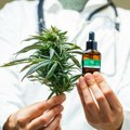 Legalizovan kanabis u BiH: Evo šta podrazumeva režim strogog nadzora