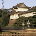Muškarac u Japanu uhapšen zbog skidanja tokom audijencije ispred Carske palate
