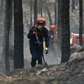 Francuska u borbi sa požarima: Uhapšena dvojica osumnjičenih, Makron u poseti ugroženom području