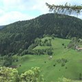 Pod šumama oko 40 odsto Srbije
