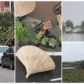 VIDEO Olujni vetar pravi haos po Srbiji: Drveće pada na kolovoz, ljuljaju se kranovi, u Beogradu pljušti FOTO
