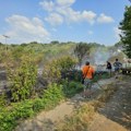 Požari na više lokacija u okolini Leskovca: Vatra se širi prema brdima, ekipe na terenu