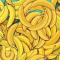 Samo oni s visokim iq za 15 sekundi mogu da pronađu životinju među bananama