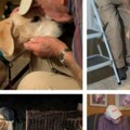 Dirljivo i urnebesno Starac (93) zahvaljujući smrdljivim čarapama pronašao svog psa