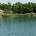 Telo muškarca pronađeno na Peskari kod Zrenjanina, naložena obdukcija