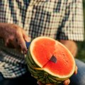 Ako ovog leta jedete lubenicu, jednu stvar nikako ne preskačite: Jedna navika može da pokvari čitav obrok!