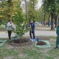 CLS: "Zelenilo Beograd" u gubitku od 300 miliona dinara, zato nam je grad zapušteniji nego ikada