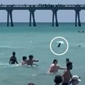 Ajkula pliva u plićaku među decom! Kupači vrište i beže dok predator bira metu, jeziv snimak sa peščane plaže (video)
