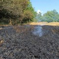 Dok je orao žito plamen zahvatio i kombajn, vozač pukom srećom preživeo: Stravičan požar u Leskovcu