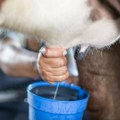 Produžili rok: Javni poziv za dodelu podrške crnogorskim mlekarima