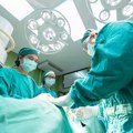 Svinjski bubreg radi: Prekretnica u transplantaciji organa