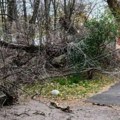 Olujno nevreme već pravi haos po Srbiji: Vetar čupao drveće iz korena u Jaši Tomiću, prizori su jezivi: Celo selo bez…